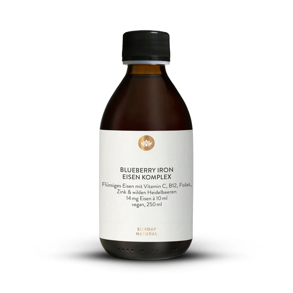 Mustika raud 14mg Vedel rauakompleks metsmustikatega 250ml